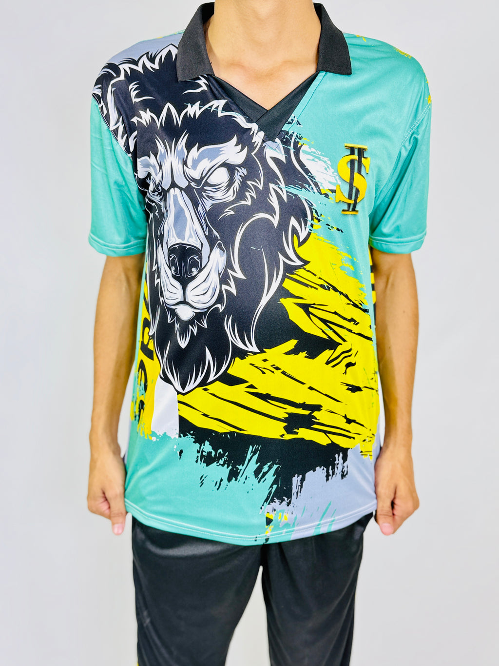 Cricket sports kit shirt and trousers