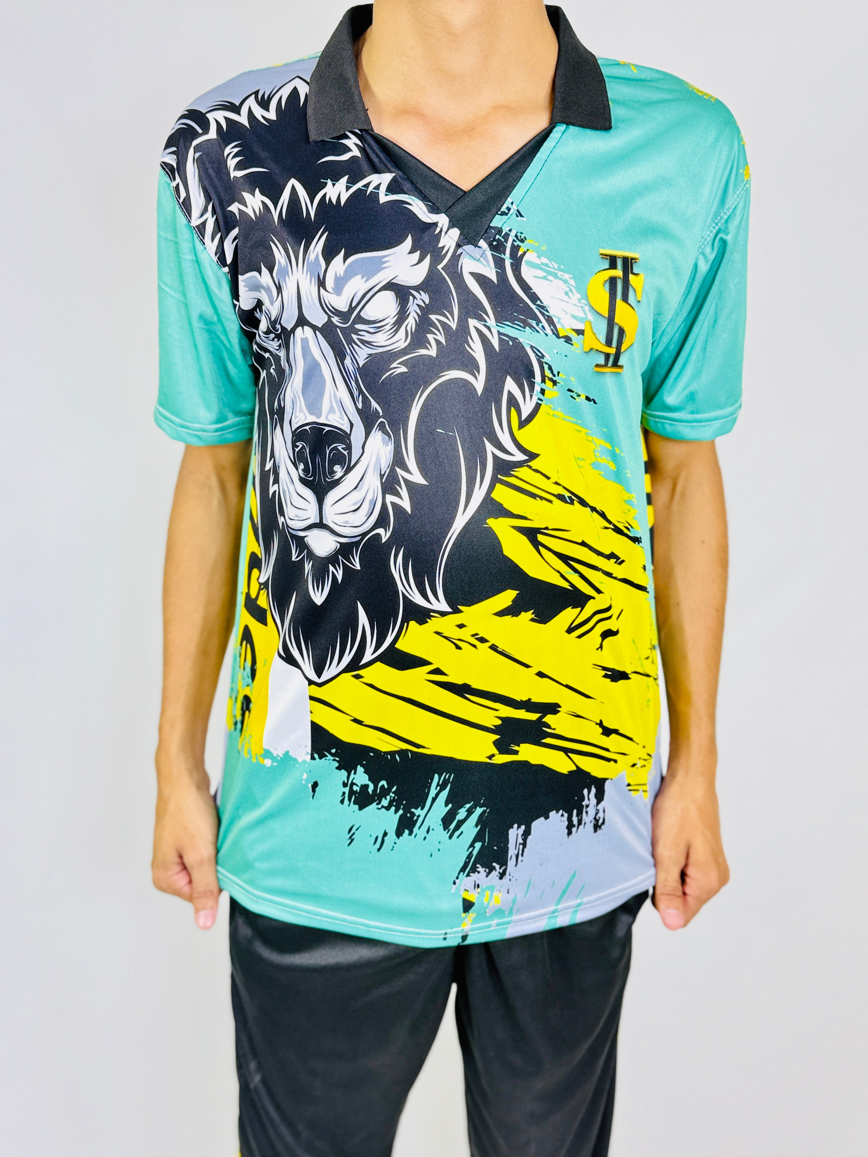 Cricket sports kit shirt and trousers